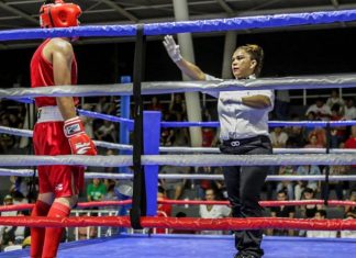 Cumplieron en estatal de box