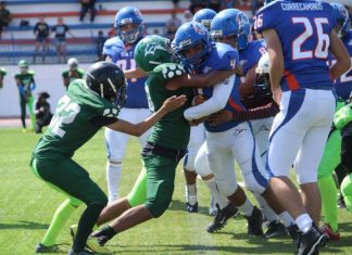 Domina Sharks la Juvenil A de LUFAUAT