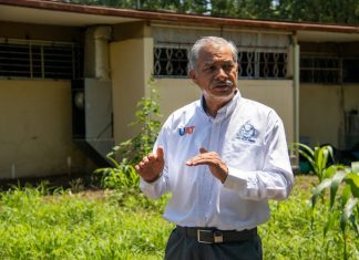 Investigación de la UAT busca conservar la genética del maguey mezcalero