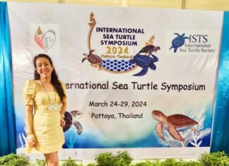 Investigadora de la UAT presenta en Tailandia estudio genético de las tortugas carey