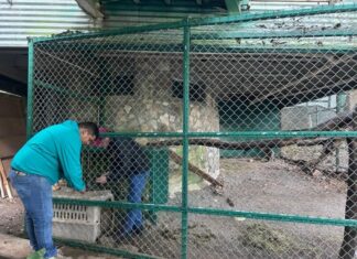 Por onda gélida, permanecerán cerrados parques de la Comisión