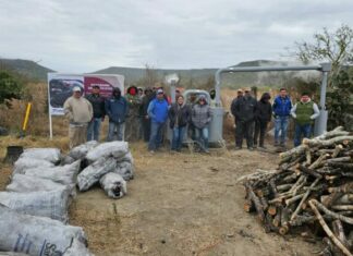 Buscan recolectar líquidos piroleñosos