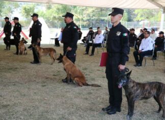 SSPT despide con honores a caninos retirados del servicio activo