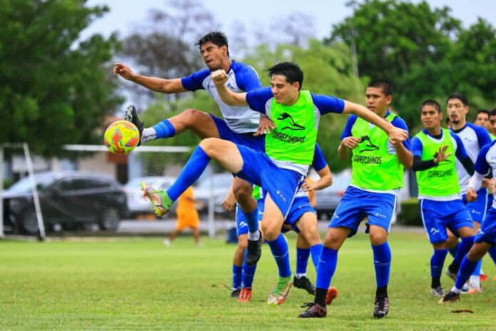 WhatsApp Image 2025-06-19 at 2.30.44 PM