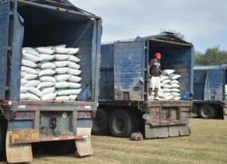 Abren ventanillas para el programa de fertilizante a citricultores