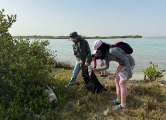 Colabora la UAT en la conservación del mangle en el litoral tamaulipeco