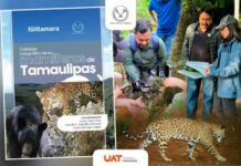 Difunde la UAT catálogo fotográfico de los mamíferos de Tamaulipas