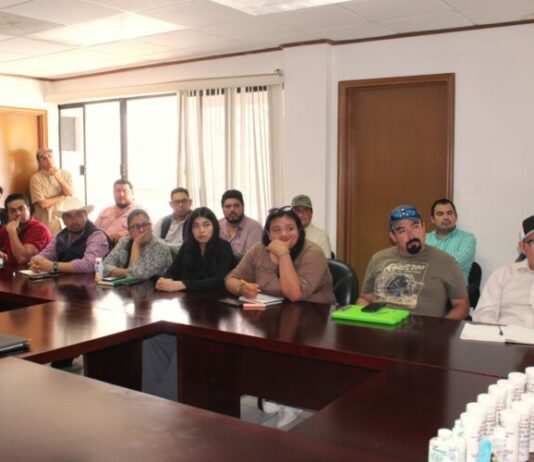 Actualización de extensionistas, clave para detección temprana de la plaga