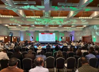 Participa Tamaulipas en reunión binacional para fortalecer sanidad pecuaria