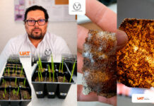 Patenta la UAT bioplásticos que recuperan suelos erosionados